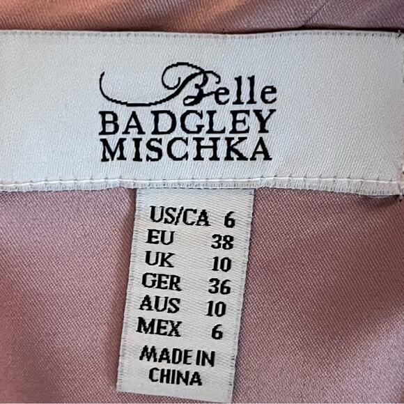 Badgley Mischka Powder Pink With Blue Floral Royal CastleCore Dress NWOT Size 6 - Picture 10 of 15